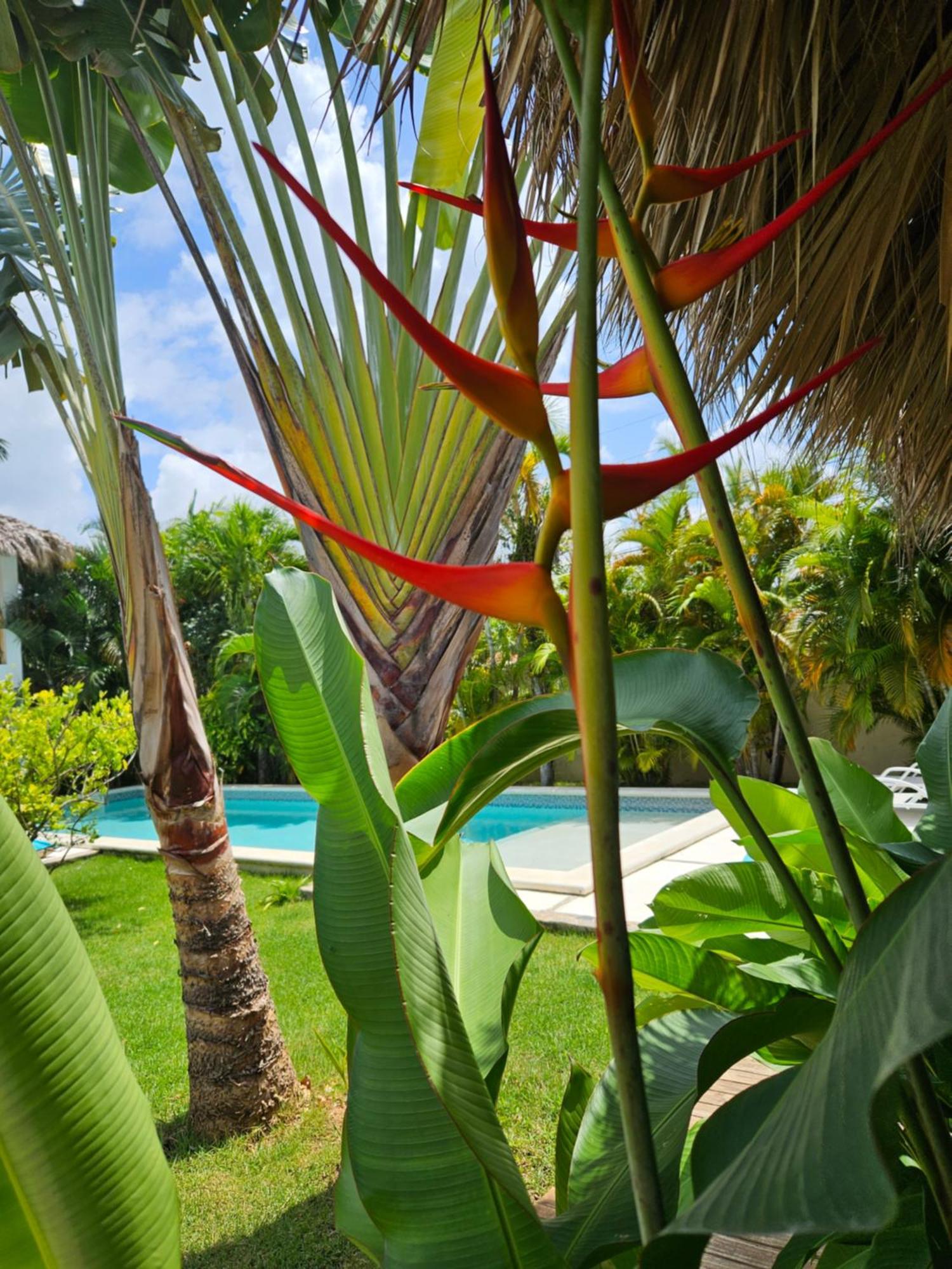 لاس تاريناس Casa Shambala B&B المظهر الخارجي الصورة